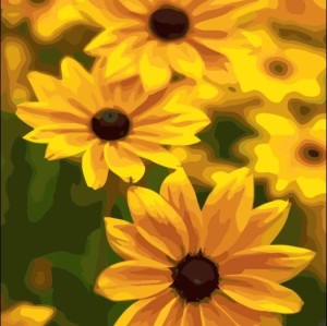 Paintboy - diy oil painting on numbers-sunflower canvas oil painting by numbers