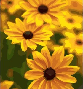 Paintboy- diy Ölbild auf Zahlen- Sonnenblume leinwand Öl malen nach zahlen