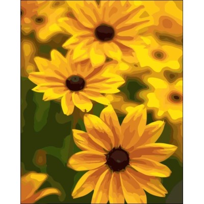 Paintboy- diy Ölbild auf Zahlen- Sonnenblume leinwand Öl malen nach zahlen