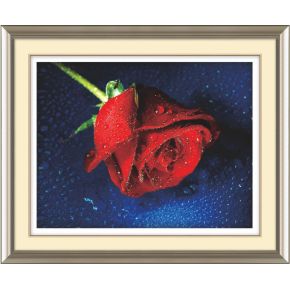 Farbe mit Zahlen- manufactor- en71, ce, sgs