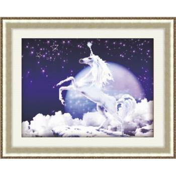 White horse - diy oil painting on canvas - manufactor - EN71,CE,SGS - OEM