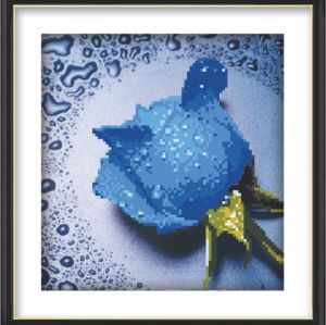 Blue Rose - diy oil paint sets for painting - manufactor - EN71,CE,SGS - OEM