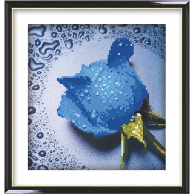 Blue Rose - diy oil paint sets for painting - manufactor - EN71,CE,SGS - OEM