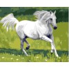 Running horse - painting on canvas - manufactor - EN71,CE,SGS - OEM