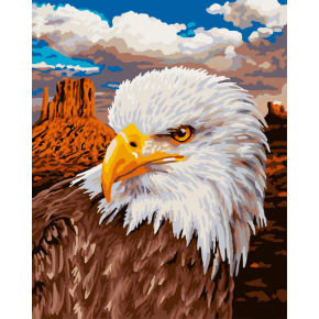 Pintura con números - fabricante - en71, Ce, Sgs - OEM - el mejor pintura al óleo en China - aninal diseño