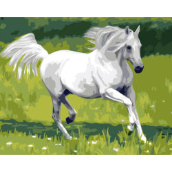 Caballo corriente diy pintura al óleo kit - fabricante - en71, Ce, Sgs - OEM