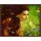 G333 paintboy classial design sexy women DIY oil painting canvas for home decor