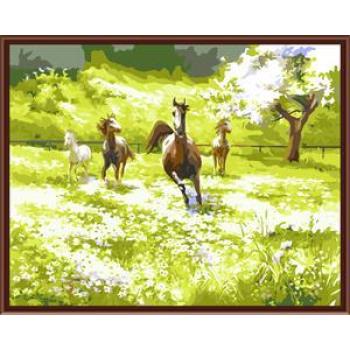 Paintboy SGS CE manufactor DIY digital canvas acrylic painting by number