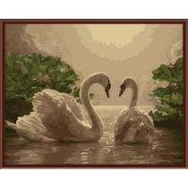Framed paintboy hand painted canvas paintings by numbers wholesale G275