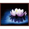 Factory directly in stock wholesale lotus flower painting oil