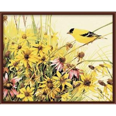 paintboy brand DIY painting coloring by numbers acrylic for home decor