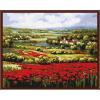 Paintboy DIY digital 40*50 canvas flower oil painting by number with framed