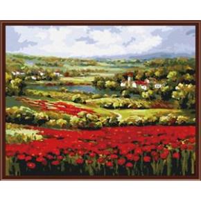 Paintboy diy digitale 40*50 leinwand blume Ölgemälde von nummer mit gerahmten