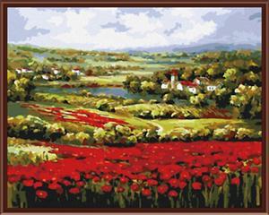 Paintboy DIY digital 40*50 canvas flower oil painting by number with framed