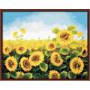 Wholesale DIY digital 40*50 sunflower oil painting by number