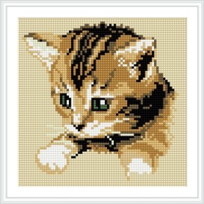 bz019 2015 neues design schöne katze 5d Brillanten malerei