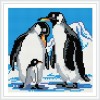 BZ021 cool penguin animal 5D brilliant diamond painting