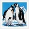 BZ021 cool penguin animal 5D brilliant diamond painting