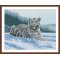 DIY diamond home canvas painting animal tiger photo GZ084