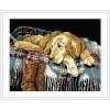 mosaic diamond painting animal dog photo yiwu factory GZ072