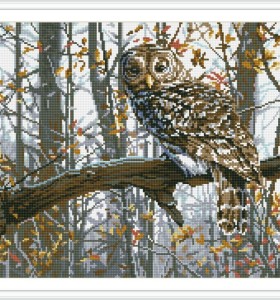 diy art diamond painting animal owl picture GZ080