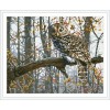 diy art diamond painting animal owl picture GZ080