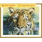 GZ137 tiger 2.5mm full round diamond painting sets for masaic