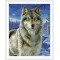 GZ234 wolf stretched canvas diamond painting for hoem decor