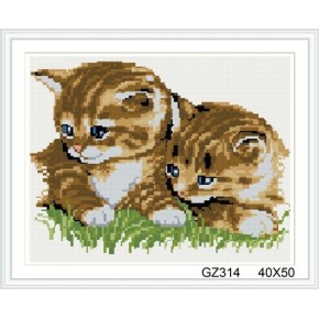 Platz katze foto diamant malerei mit holzrahmen xinshixian malen junge marke gz314