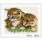 square cat photo diamond painting with wooden frame xinshixian paint boy brand GZ314