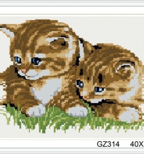 square cat photo diamond painting with wooden frame xinshixian paint boy brand GZ314