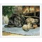 dog picture kids diamond canvas painting GZ345