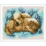 Paintboy pequeño perrito pintura diamante bricolaje by números para el arte de la pared GZ341