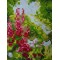 paintboy square diamond painting for home decor GZ357