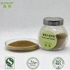 2015 New Arrival 100% Natural Olive Leaf Extract powder