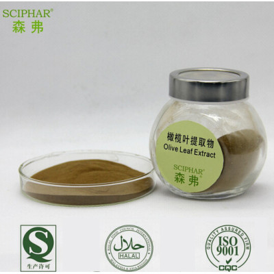 2015 New Arrival 100% Natural Olive Leaf Extract powder