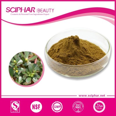 Purslane Extract