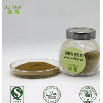 Supply Fresh and Natural Olive Extract with Competitive Quotation