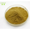 Chinese traditional herb medicine Herba Leonuri Extract