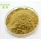 Tremella Fuciformis extract powder /Polysaccharide10%-30%/GMP Manufacturer