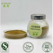 ISO HACCP Kosher HALAL GM Professional Factory Supply Best Selling Angelica Sinensis Extract