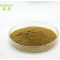 supply 100% medcine grade Radix Salviae Miltiorrhizae powder from china with best quality