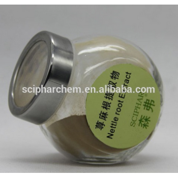 Manufacturer Supply Top Quality Nettle Powder
