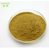 supply healthy products 100% natural Camellia powder from china