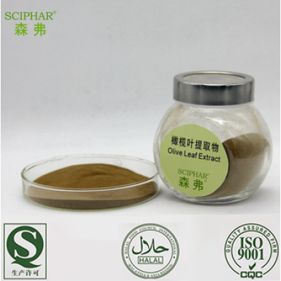ISO,HACCP,Kosher,HALAL,GMP Professional Factory Supply Best Selling olive leaf extract