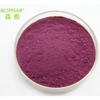 supply healthy products 100% natural Lavender powder with best price