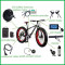 JB-205/35 Diy 1000w Brushless Gearless Electric Bike Motor Conversion Kit