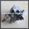 Engine Carburettor GX160 with good quality carburettor