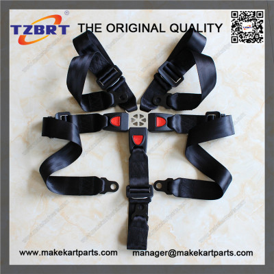 A single 5 point safety belt at a low price