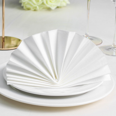 Lekoch 2-Ply Air-laid Disposables Paper Napkins in White 50PCS